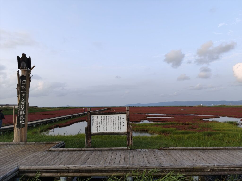 9月の北海道でおすすめの卯原内サンゴ草群落地の真っ赤な絶景
