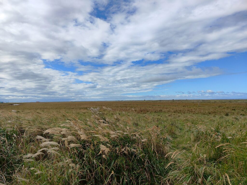 この世の果てのような荒涼感と美しさが広がる野付半島の絶景